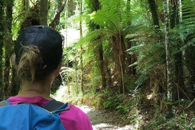 3 Day Kayak & Walk North New Zealand - The Walking Day: From Onetahuti to Totaranui