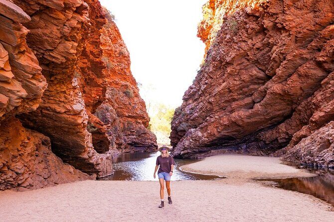 3-Day Kings Canyon & West MacDonnell Ranges 4WD Camping Tour - The Experience of Guided Hikes and Camping