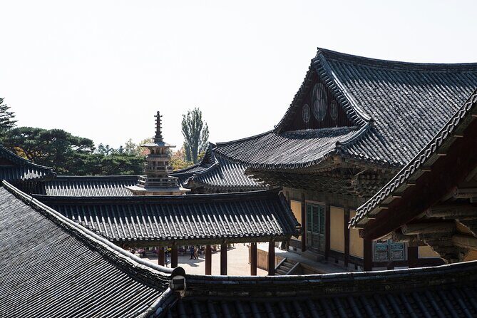 3-Day KORAIL Tour of Busan and Gyeongju from Seoul - What It Means for You