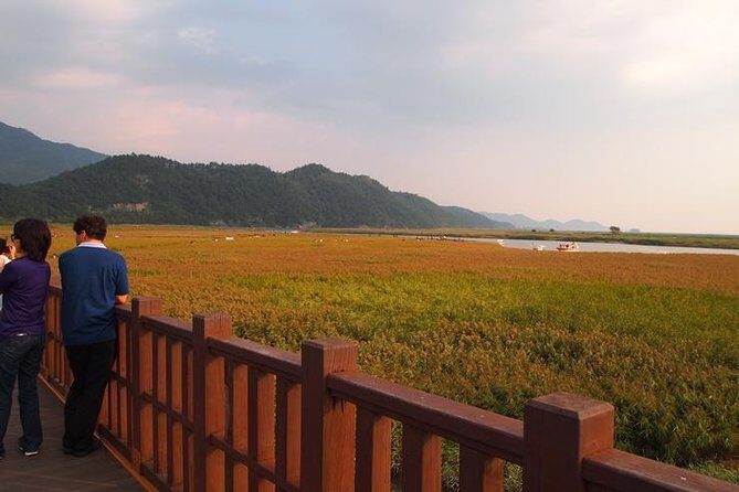 3-Day Korea Western course by K-shuttle Tour from Seoul to Busan - Who Will Enjoy This Tour?