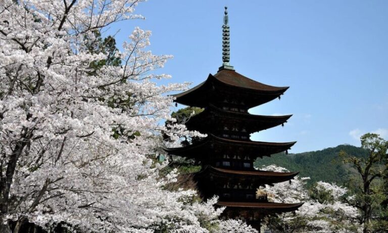3-Day ONE WAY Bus Tour to Hiroshima via SAN'IN from Fukuoka - The Value of This Tour