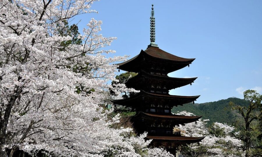 3-Day ONE WAY Bus Tour to Hiroshima via SAN'IN from Fukuoka - The Value of This Tour