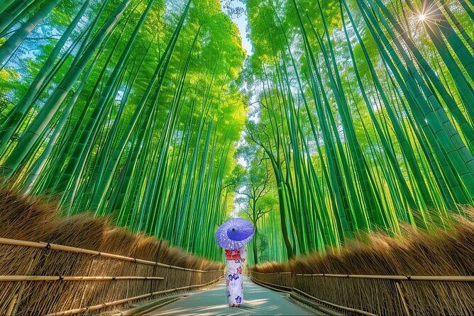 3 Day Private Osaka Kyoto and Nara Tour - What’s Included and What’s Not?