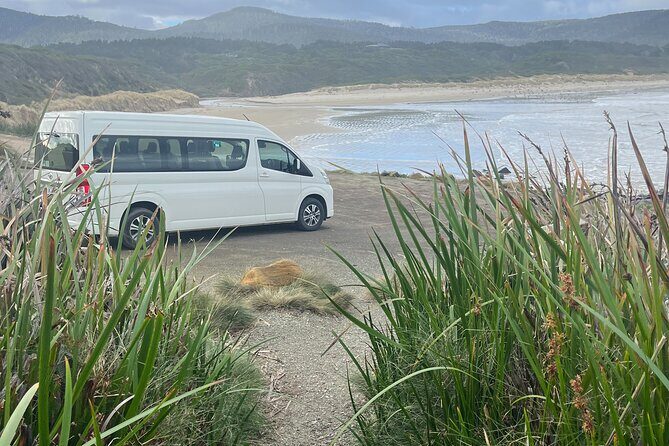 3 Day Private Tour in Tasmania - Who Will Love This Tour?