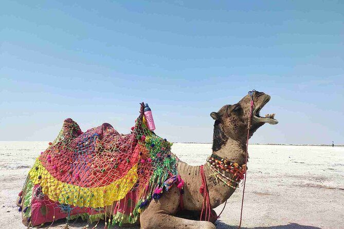 3 day private tour of Rann of Kutch from Ahmedabad - Frequently Asked Questions (FAQs)