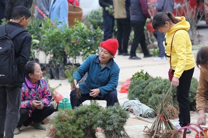 3-Day Tour in Jinping to visit the countryside fair near Guilin - An In-Depth Look at the 3-Day Jinping Countryside Fair Tour