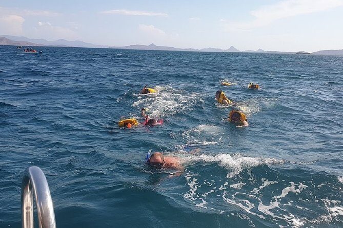 3 Days Komodo island Tour - Who This Tour Is Perfect For