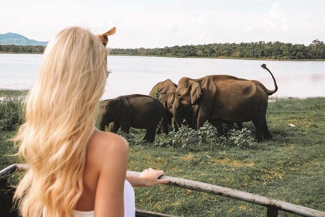 3 Days Tour to Sigiriya & Kandy with Kingfisher Tours Sri Lanka - The Practicalities: What to Expect and Considerations