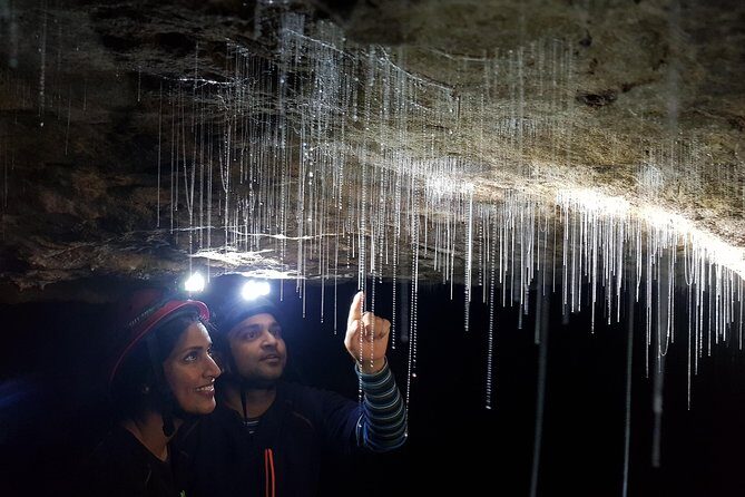 3-Hour Private Photography Tour in Waitomo Caves - The Itinerary: What to Expect from Start to Finish