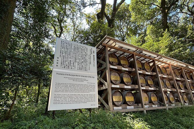 3 Hour Private Tokyo Meiji Jingu Shrine Wellness Tour - Analyzing the Value
