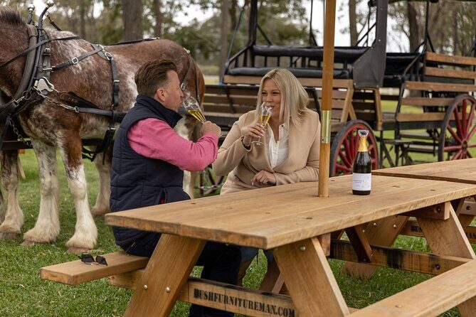 3- Hour Wine and Harvest the Hunter Horse Tour in Pokolbin - The Value of This Experience
