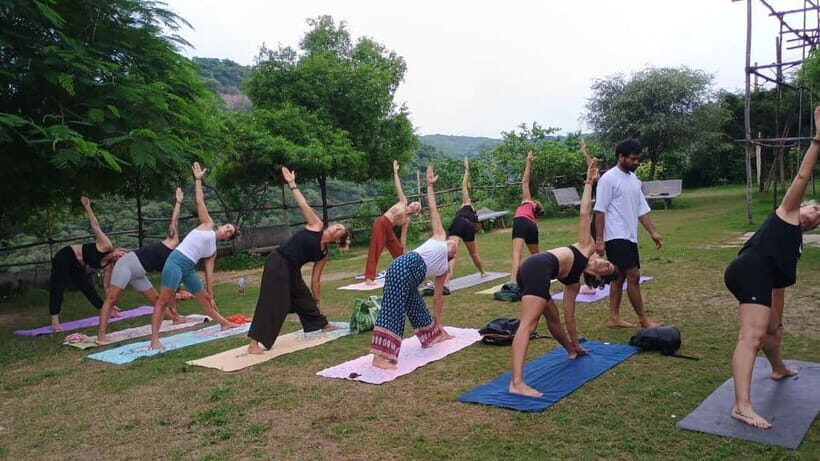 3 Hours Private Yoga and Meditation Tour in Jaipur - Who Should Consider This Tour?