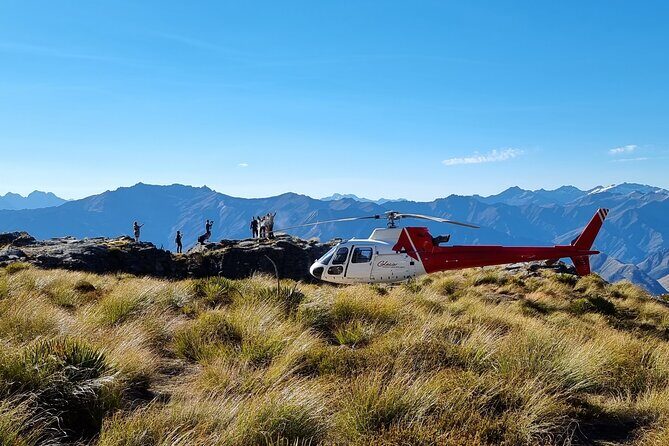 30-Minute Alpine Scenic Flight from Queenstown - Who Should Consider This Tour?
