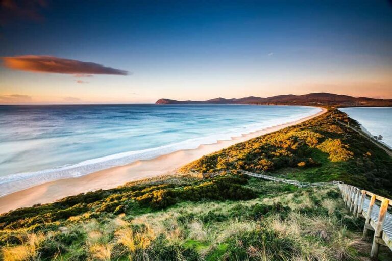 3D Tasmanian Highlights: Hobart, Port Arthur & Bruny Island - What to Expect and Practical Tips