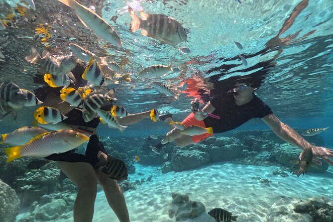 3H Adventure in JET SKI Snorkeling and Tahaa Lagoon - Detailed Breakdown of the Itinerary