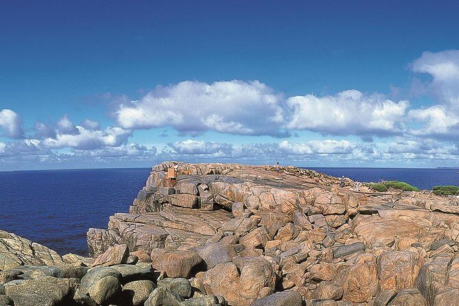 4 Day Albany Margaret River, Valley of the Giants Tour from Perth - The Value and Practicalities