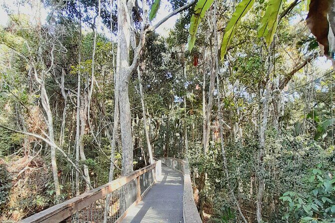 4-Day Private Coastal Escape from Sydney to Mid North Coast - Who Will Enjoy This Tour?