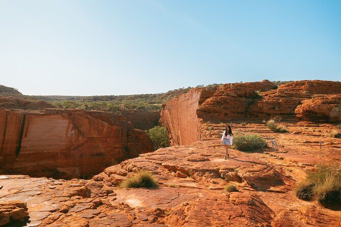 4 Day Tour in Red Centre Alice Spring to West MacDonnell - The Practical Side: What You Need to Know