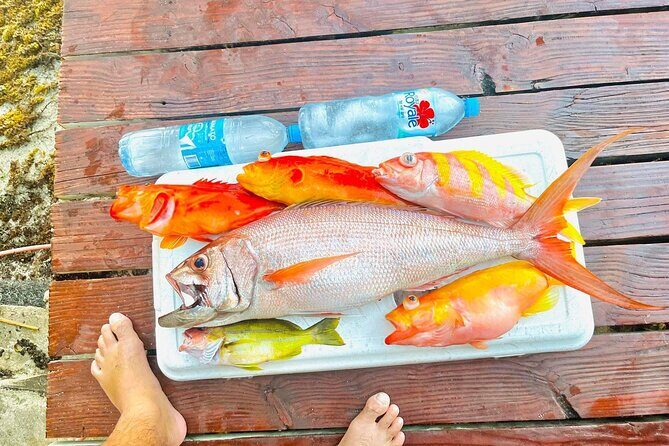 4 Hour Ariki Fishing Activity in Moorea - Analyzing the Value for Money