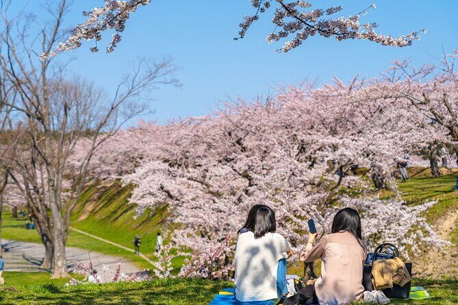 4 Hour Private Cherry Blossom "Sakura" Experience in Nagasaki - Authenticity and Value
