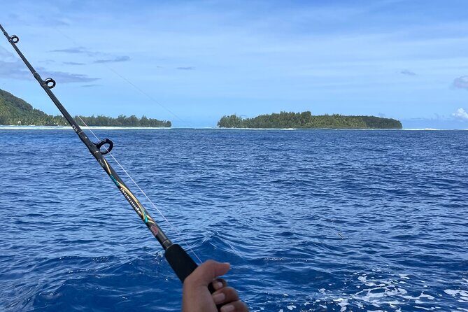 4 Hour Private Fishing Discovery Tour - Why this tour offers real value