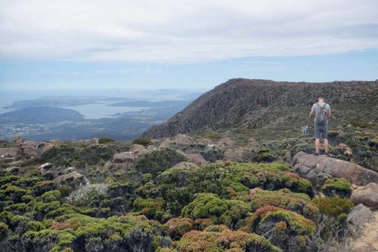 48-Hour Hobart City Loop Tour and Mt Wellington - Who Is This Tour Best For?