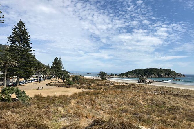 4hr Tauranga Scenic History and Tasting Tour FREE Kiwifruit Tasting - Minden Lookout and Local Flavors