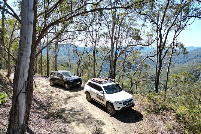4WD Guided Day Trip In D'Aguilar National Park - The Sum Up: Is This Tour Worth It?