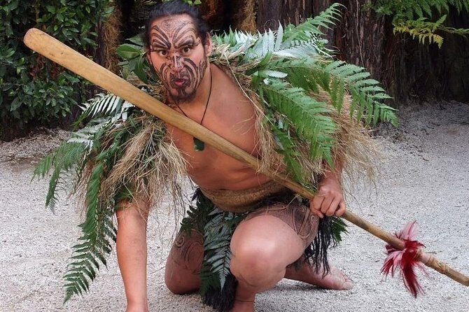 5-Day Bay of Islands Rotorua Waitomo Caves and Hobbiton Tour from Auckland - Transportation, Accommodation, and Overall Value