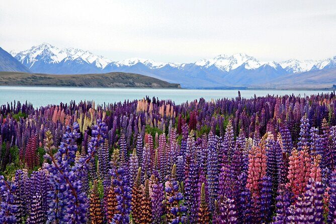 5-Day South Island Tour from Christchurch - Day 3: Free Day in Queenstown