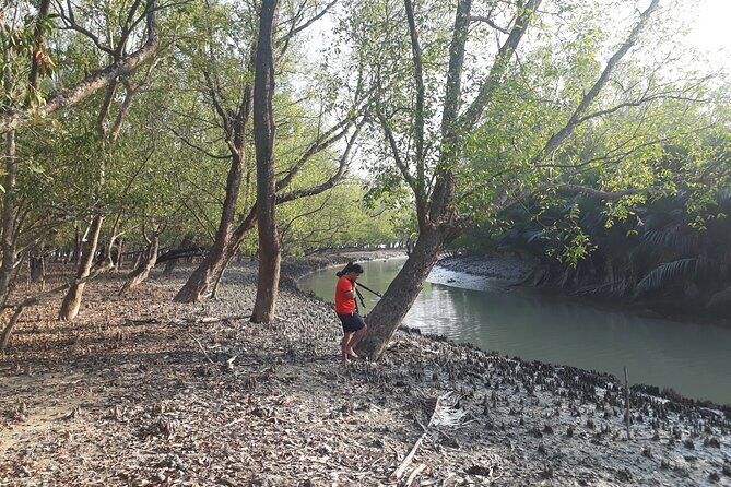 5-Day Sundarban Tour: The Wild Life Adventure - Authentic Feedback from Travelers