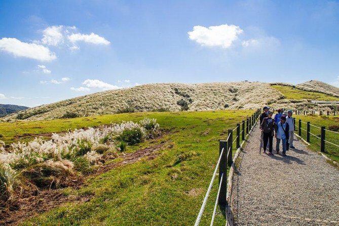5-Hour Vegetarian Private Tour - Visit Yangmingshan and Taste Veggie Cuisine - Exploring Yangmingshan: What to Expect