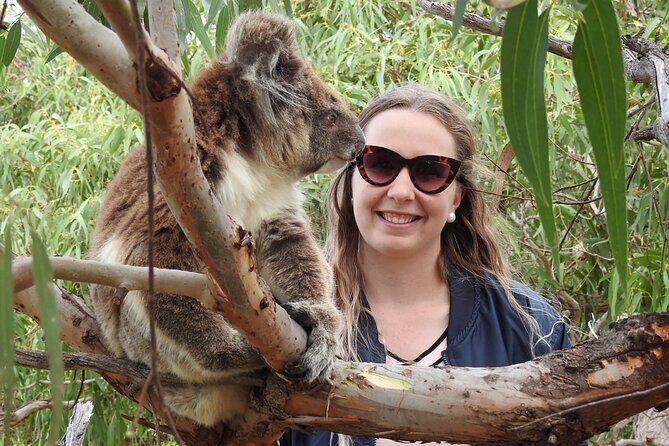 6-Day Eyre Peninsula & Flinders Ranges Adventure Tour - What This Tour Means for You