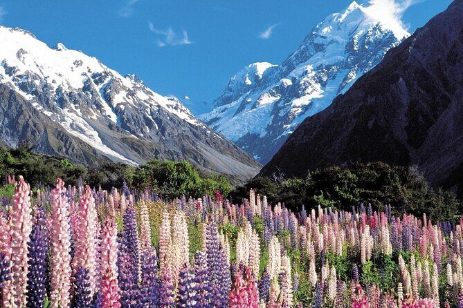 6-Day South Island Southern Heritage Tour from Christchurch - Pricing and Value