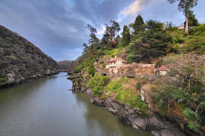 6-Days Discovery Tour of Tasmania - Comfort Style - Day-by-Day Breakdown: What to Expect