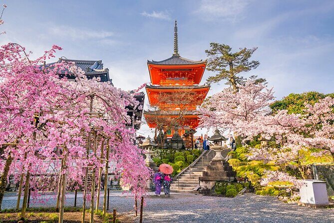 6 Days Japan Kanto, Kansai Tour - What’s Included and What’s Not
