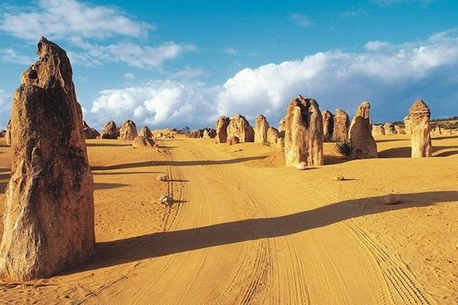 6 Days Perth All-Inclusive Touring Package - What Makes This Tour Stand Out?
