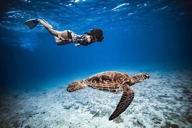 6 Hour Private Boat Activity with Snorkeling & Lunch - Why This Tour Offers Great Value