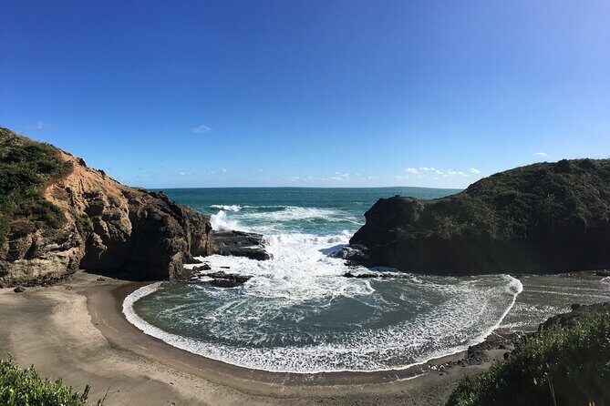 6 Hours Sightseeing Tour in Auckland - What’s Included and What’s Not