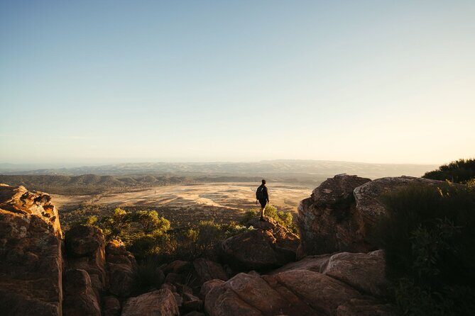 7 Day Adelaide to Uluru Adventure and Cultural Tour - What Reviewers Say
