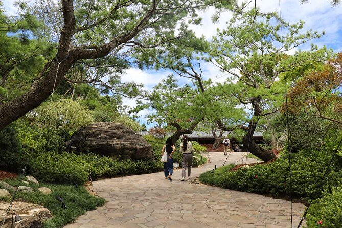 8-Day Around Taiwan Private Tour - Sun Moon Lake and Alishan