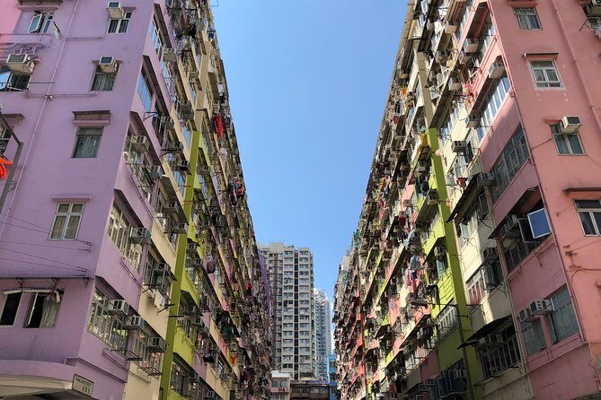 8-Hour Private Hong Kong Layover Tour - Who Is This Tour Best For?