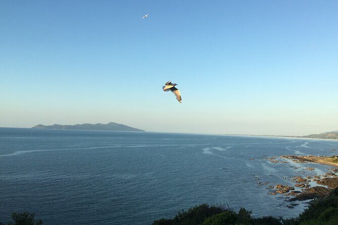 8-Hour Private Scenic Kapiti Coast Tour from Wellington - The Scenic Drive to Paekakariki