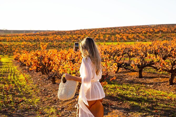 8 Hour Wine Tour and Tasting Experience at McLaren Vale - A Detailed Look at the McLaren Vale 8-Hour Wine Experience
