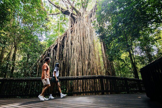 9 Day Brisbane to Daintree Whitsundays Great Barrier Reef Comfort - Why This Tour Works for Travelers