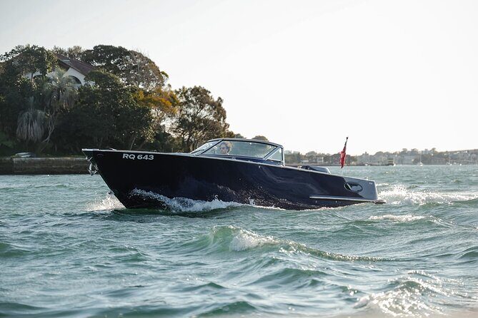 90 Minute Private Luxury Cruise on Sydney Harbour - Up to 4 - Why This Cruise Matters for Travelers