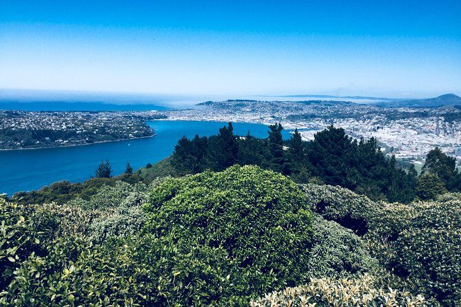 A 2 hour Small Group Dunedin City Highlights Tour - Transportation, Timing, and Group Size