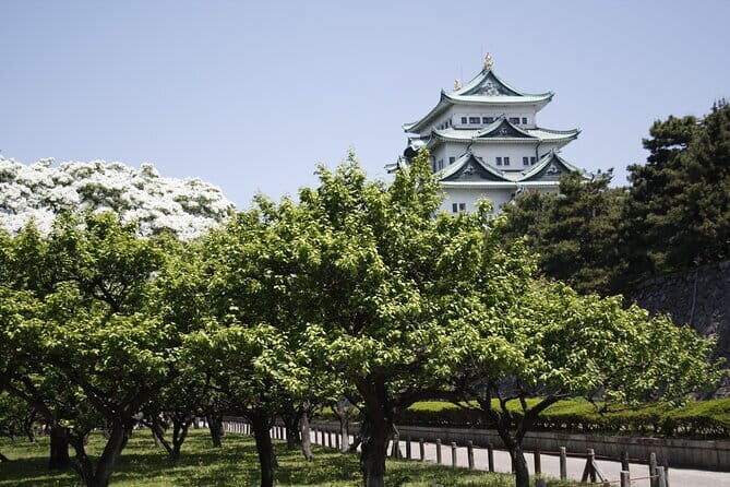 A Day of Samurai Spirit in Nagoya a Daimyo Legacy - Introduction to the Experience