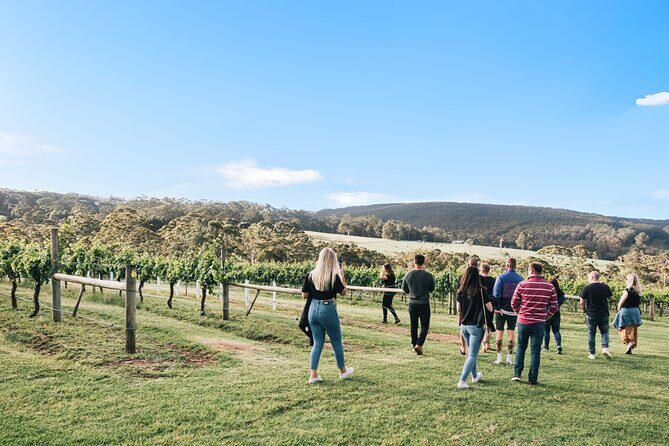 A Sense of Place a Wine Tasting Experience in Denmark - Authentic Insights from Past Travelers