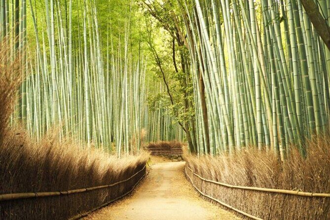A trip to Kyoto and Osaka in one day - Practical Aspects of the Tour